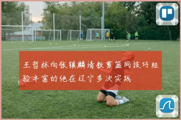 王哲林向张镇麟请教剪篮网技巧经验丰富的他在辽宁多次实践