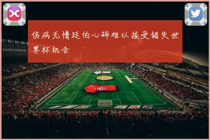 伤病无情廷伯心碎难以接受错失世界杯机会